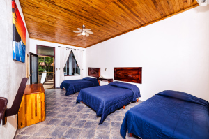 Shared Room