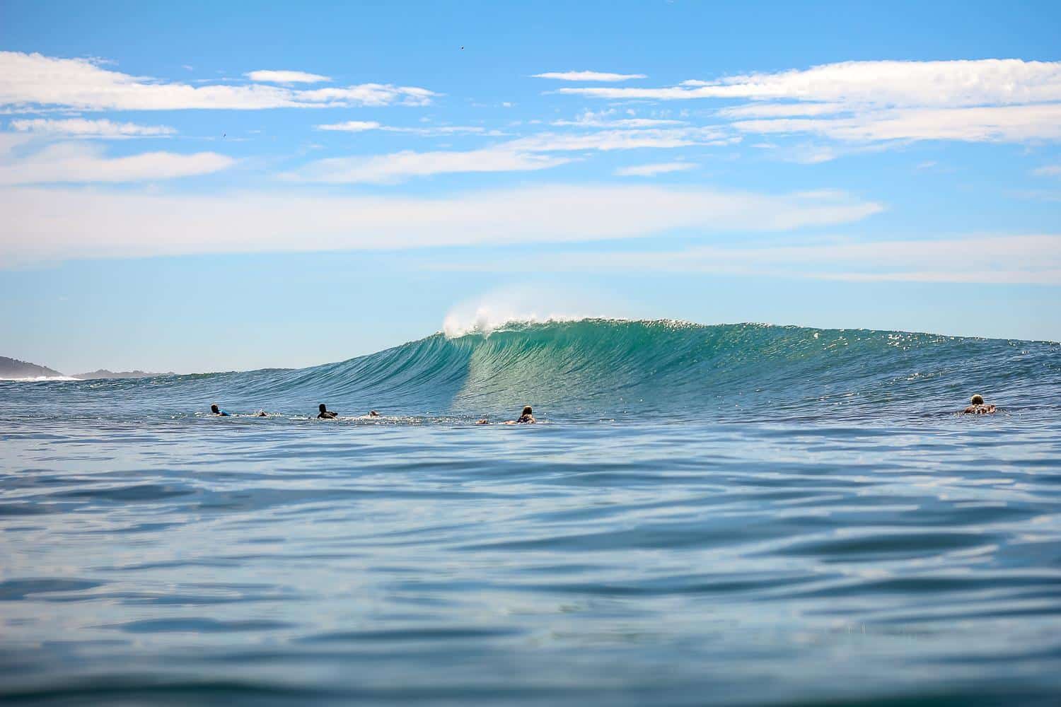 Read more about the article Cheap Flights, Rodeos, Barrels and Other Dry-Season Happenings