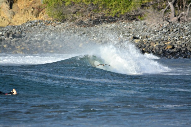 DSC_1965