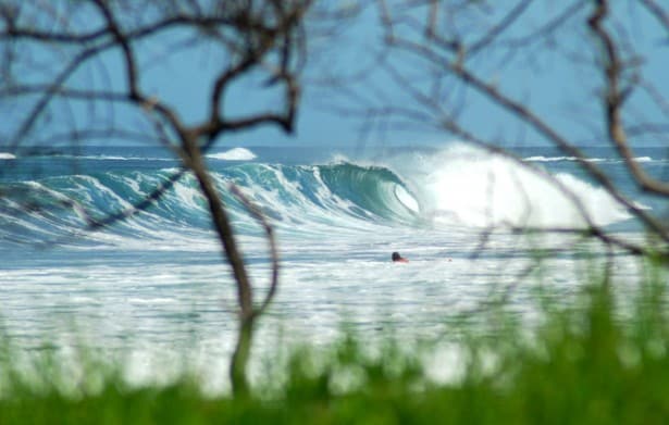 Read more about the article Stoked for Life: The Only Way I Want to Live