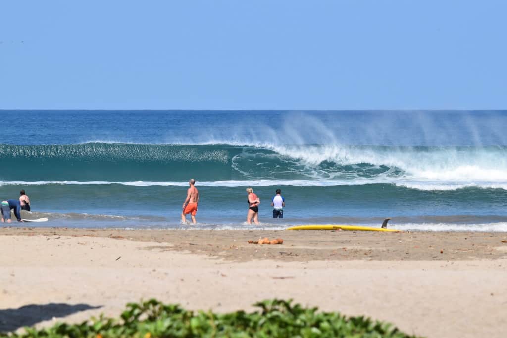 DSC_0002