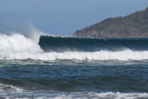 Tamarindo