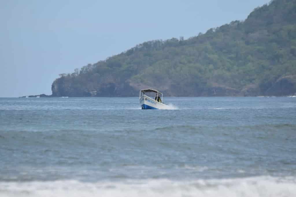 DSC_0275