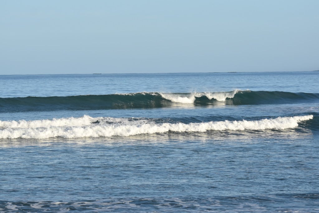 DSC_0024