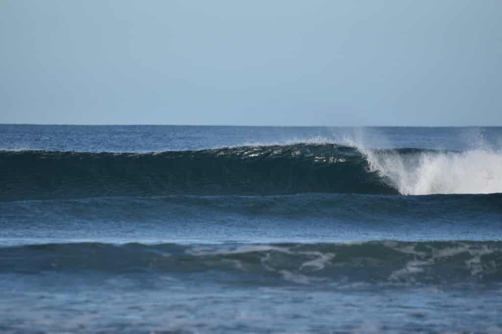DSC_0107