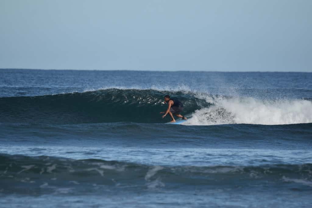DSC_0111