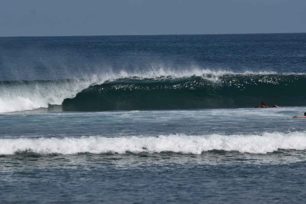 DSC_0260