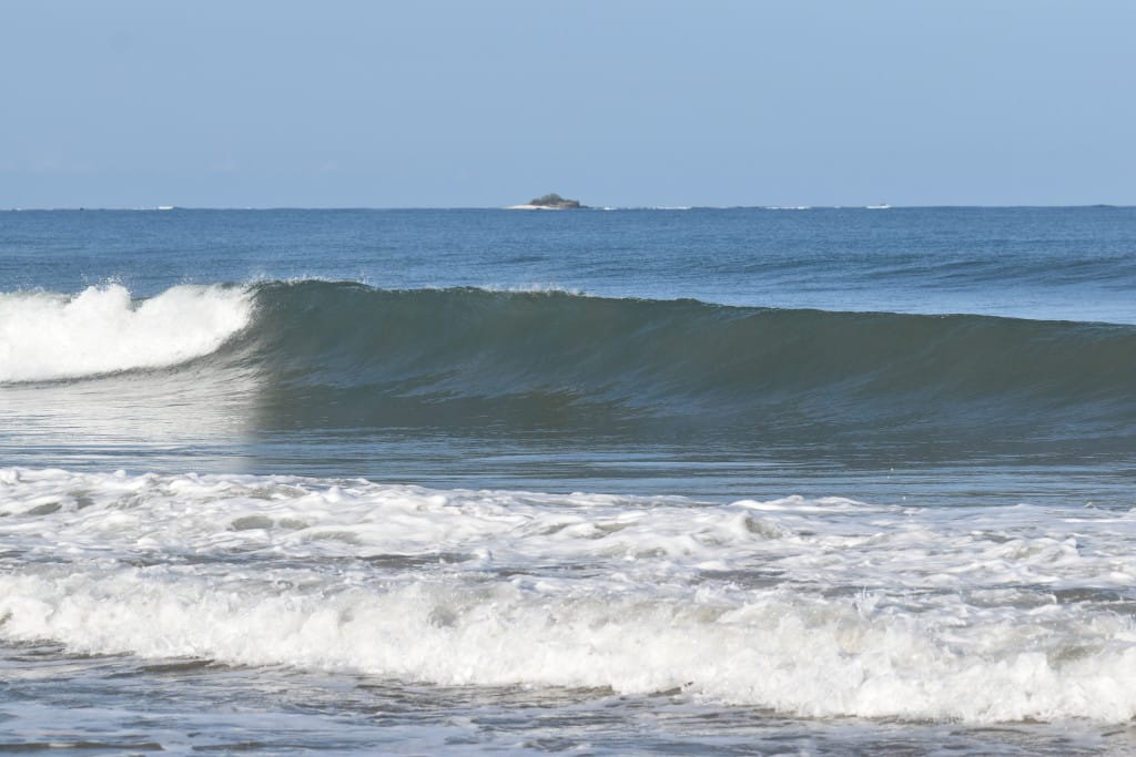 DSC_0526