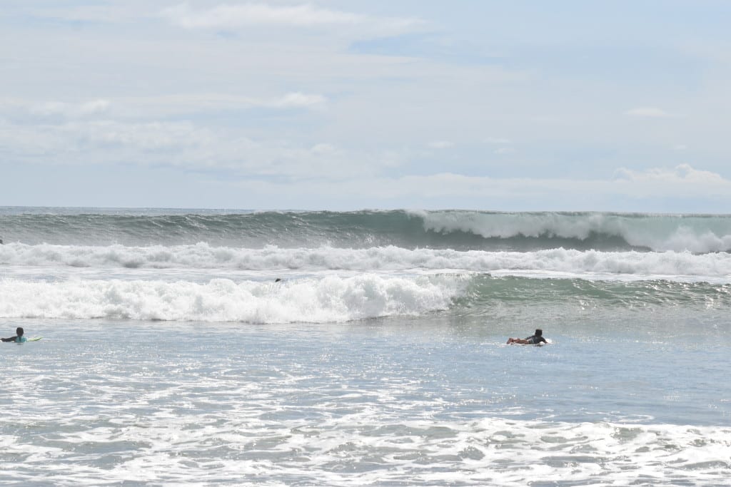 DSC_0547
