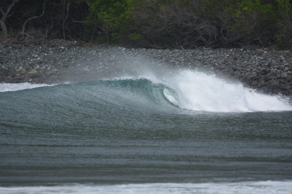 DSC_0648