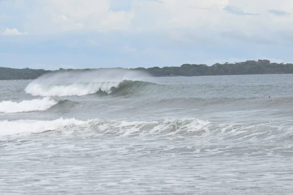DSC_0806