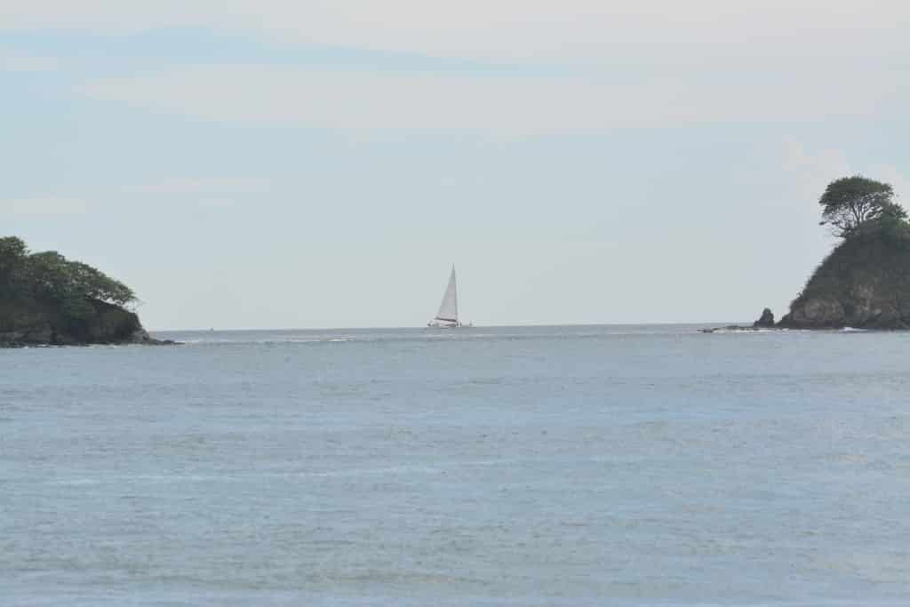 DSC_1020