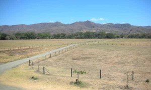 Guanacaste Dry Season