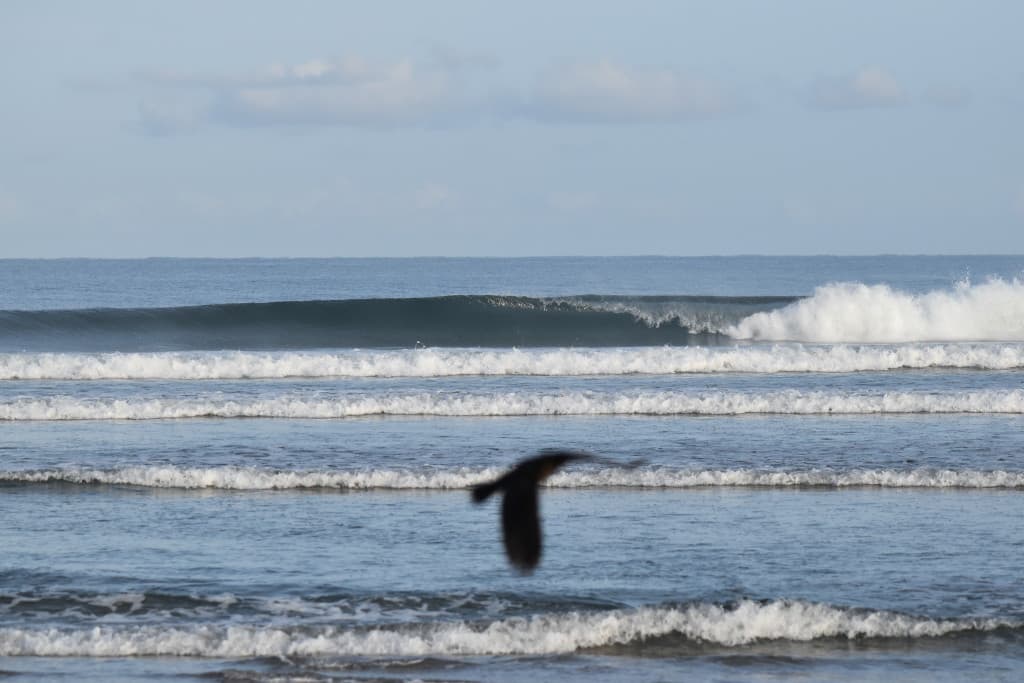 DSC_0247