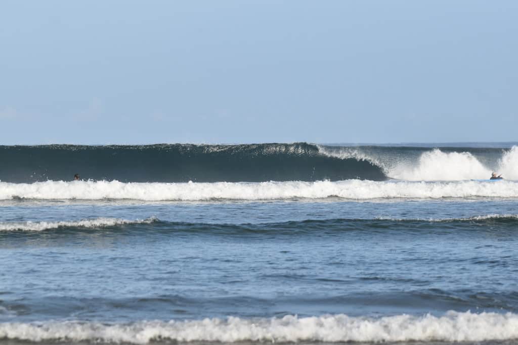 DSC_0315