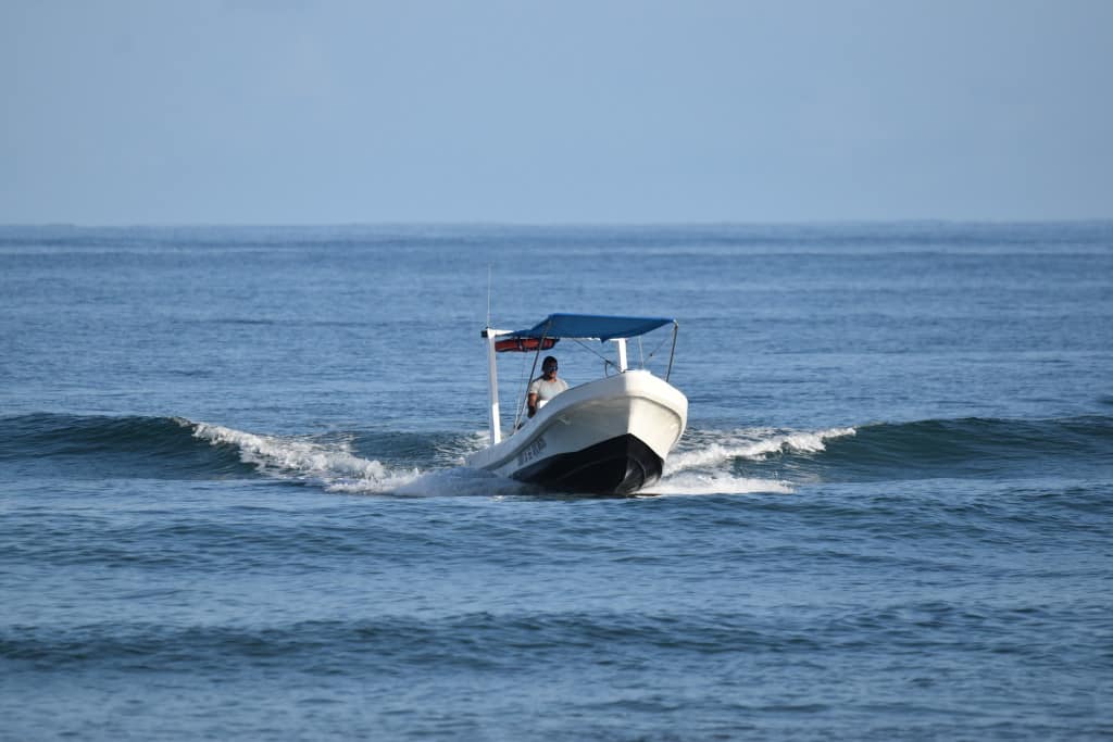 DSC_0351