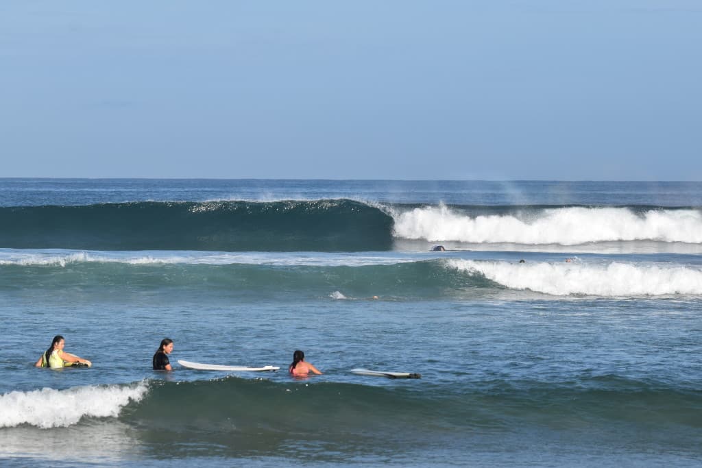 DSC_0554
