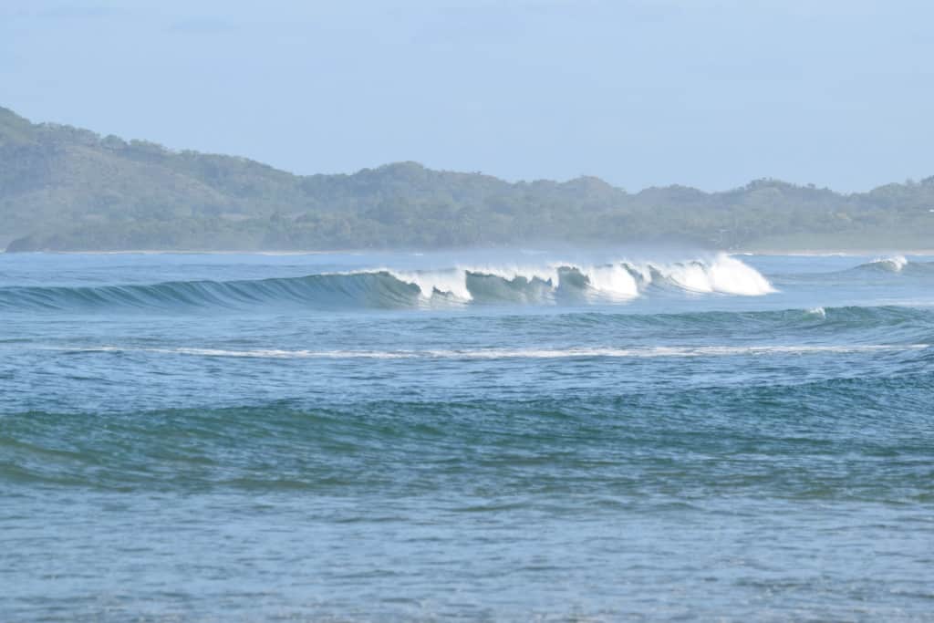 DSC_0559