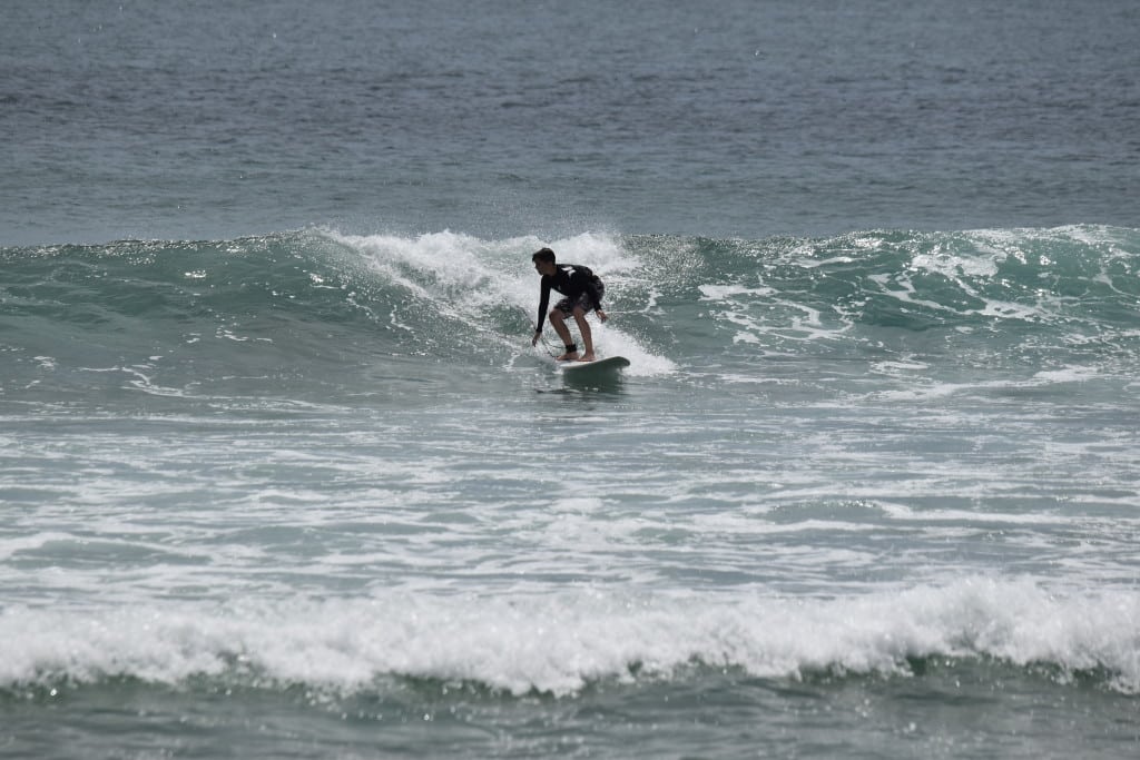 DSC_0628