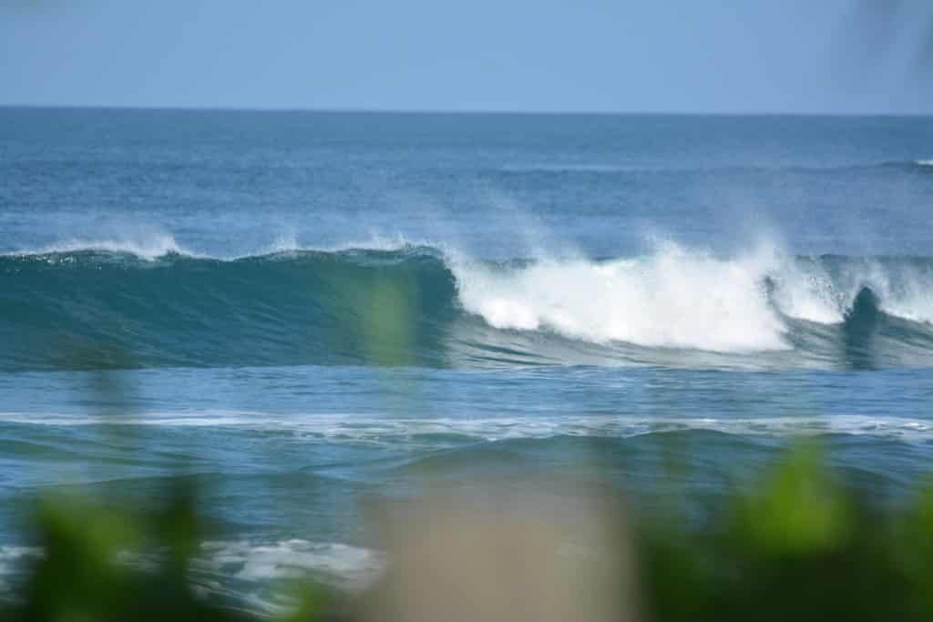 DSC_3516