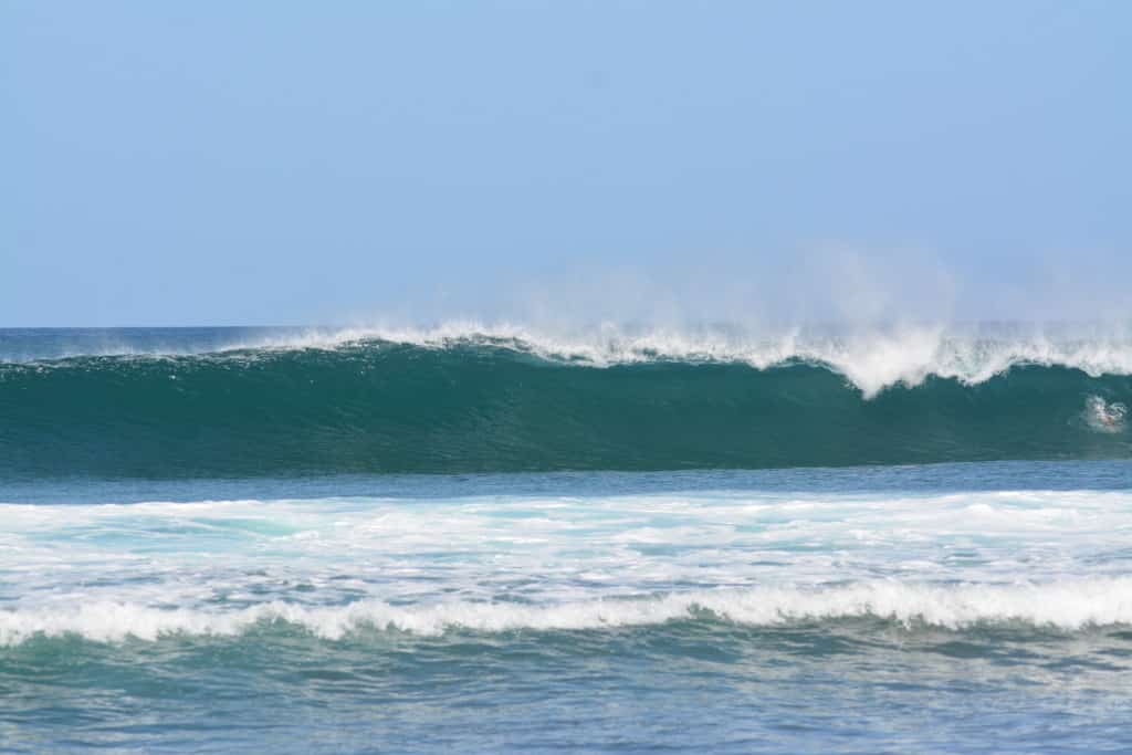 DSC_3571