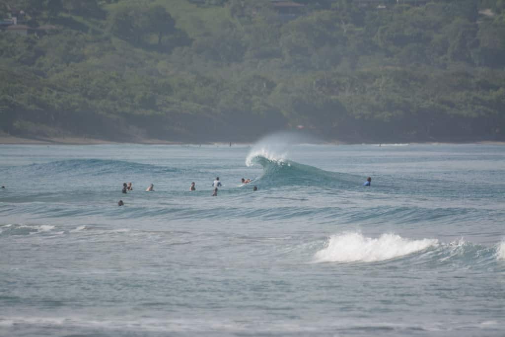 DSC_4248
