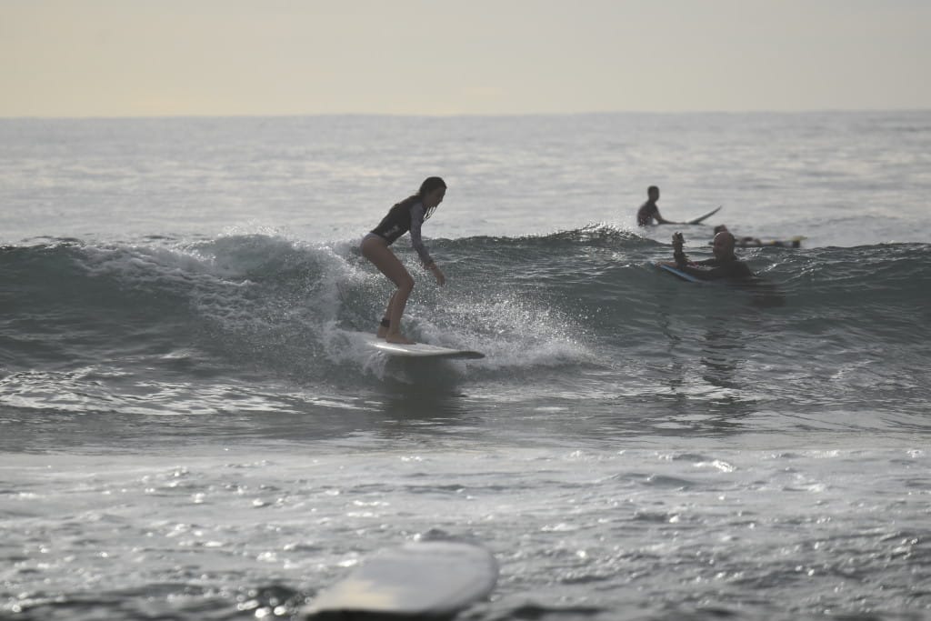 DSC_0252