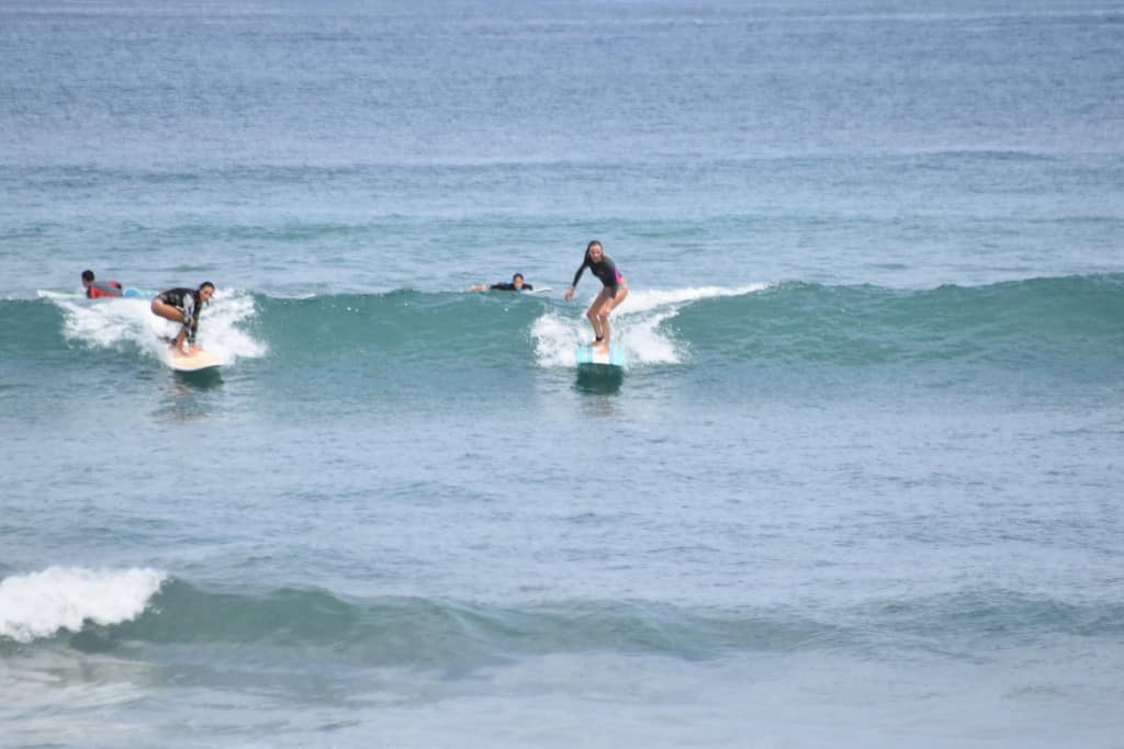DSC_0296