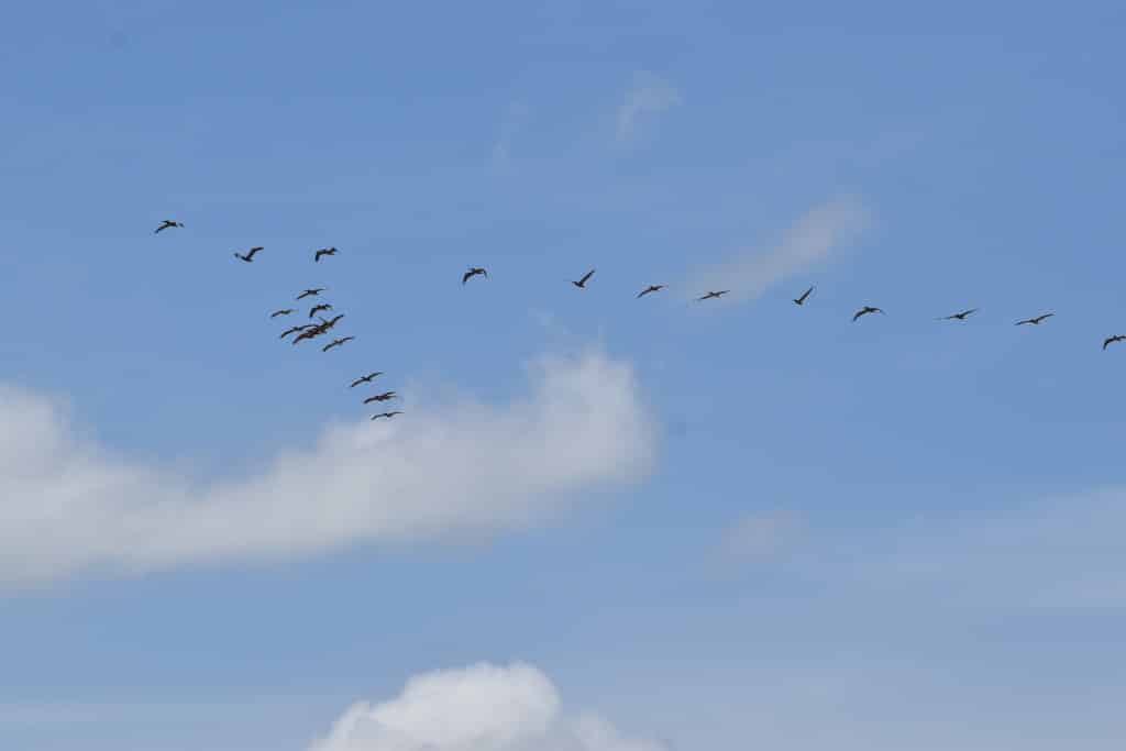 DSC_0538