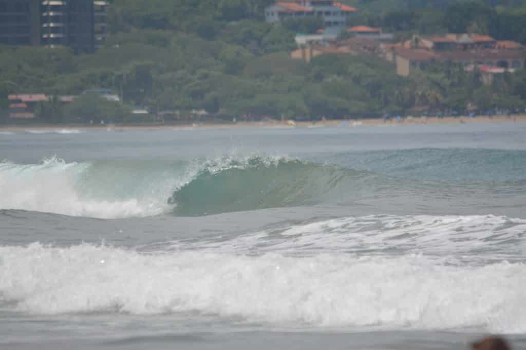 DSC_6462