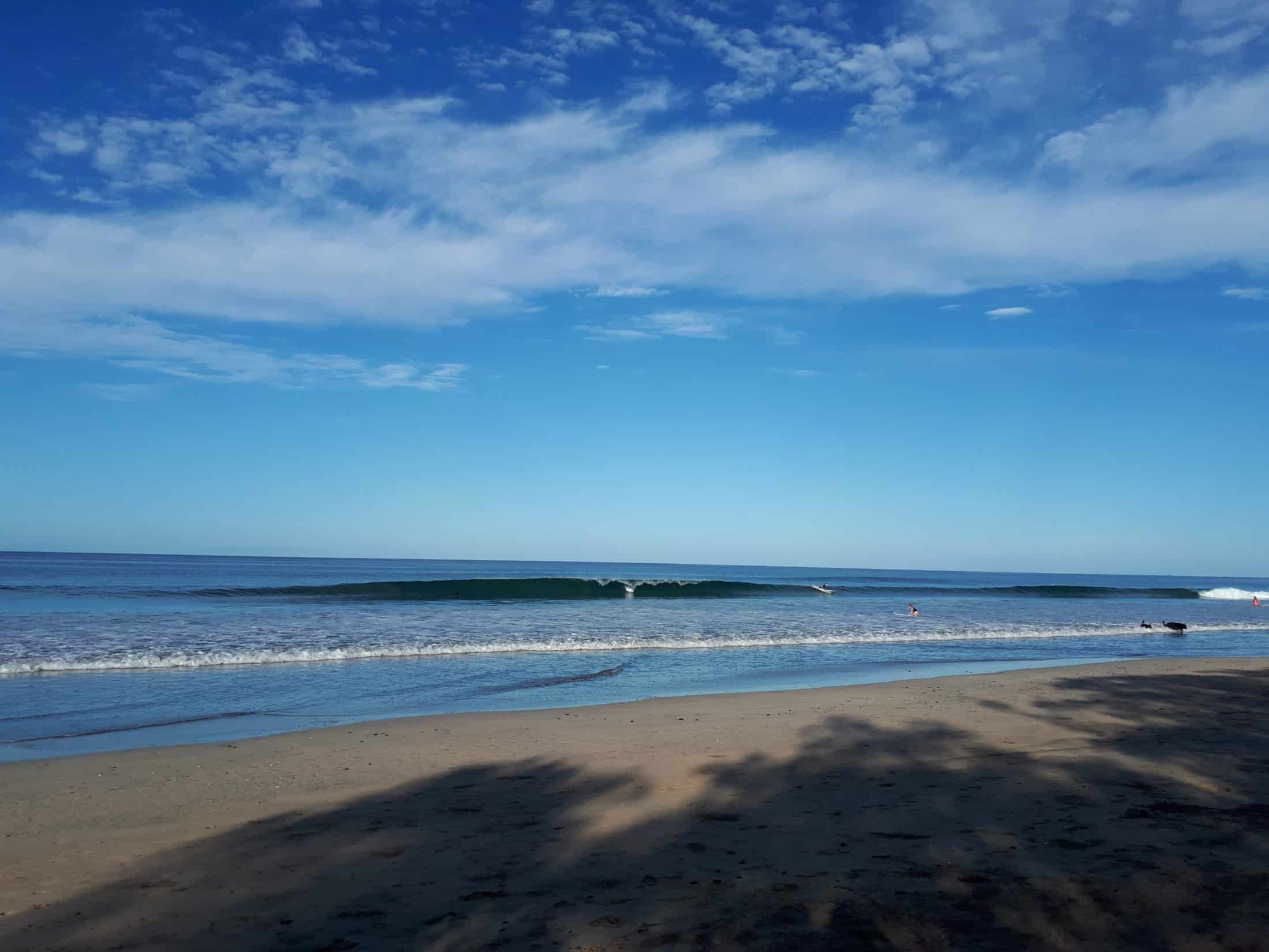 Read more about the article Playa Avellanas, Tuesday, January 9, 2018