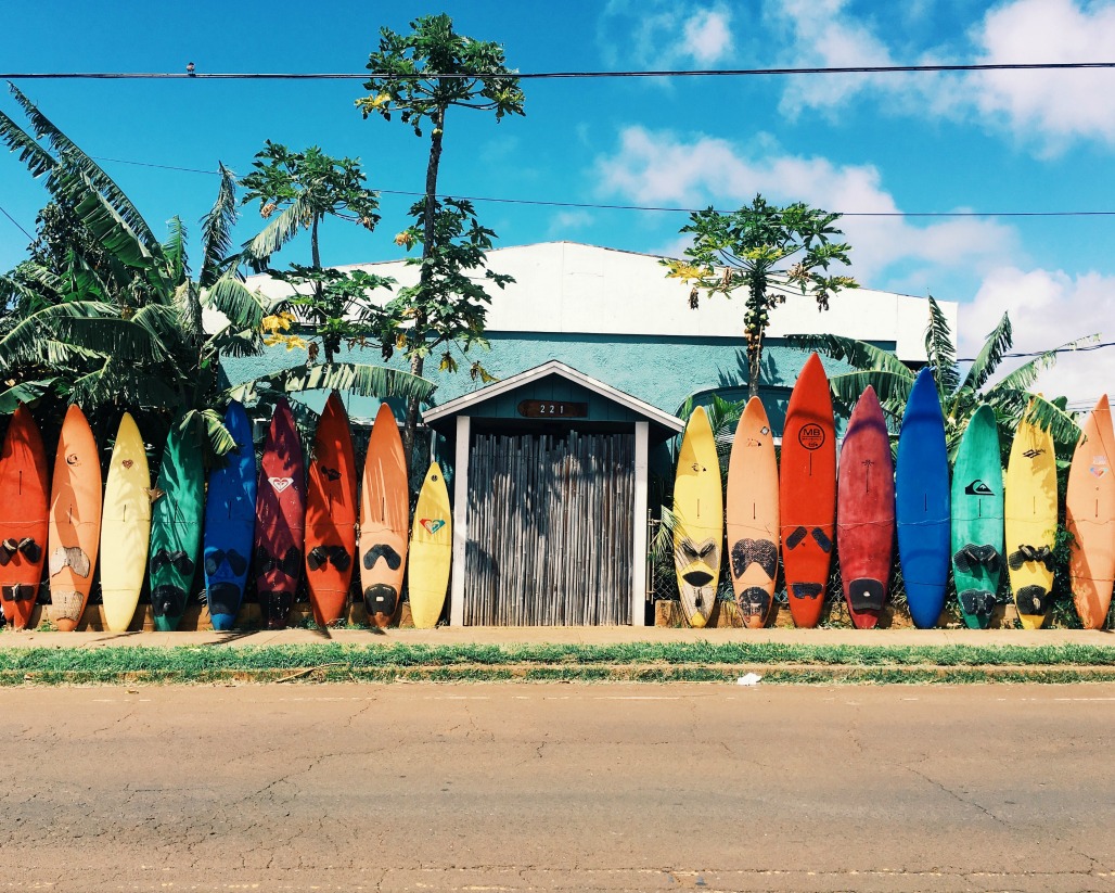 Read more about the article Why You Shouldn’t Limit Yourself to One Board Type