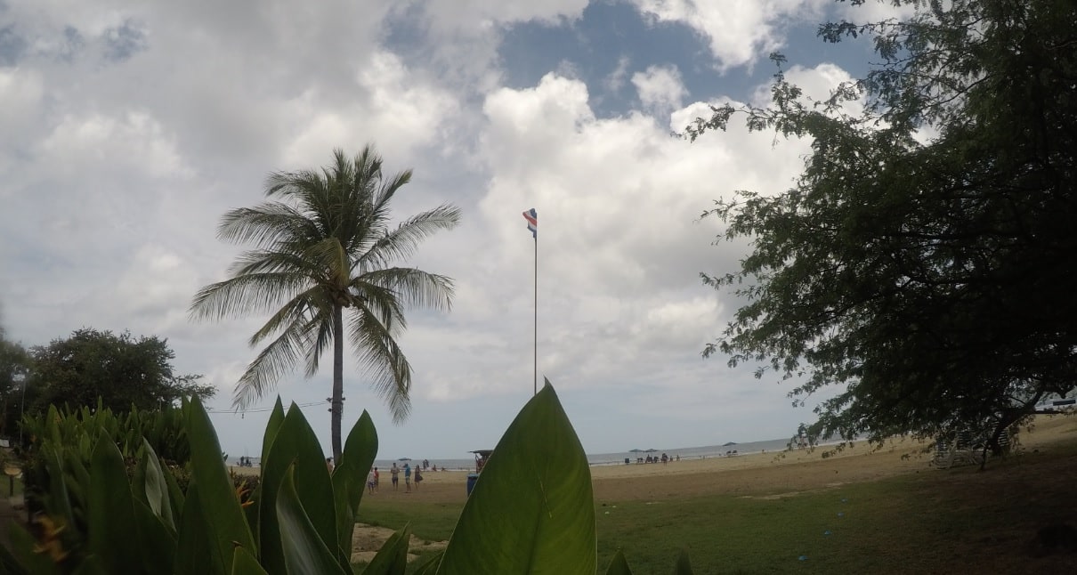 Read more about the article Tamarindo – Wednesday, August 1 2018