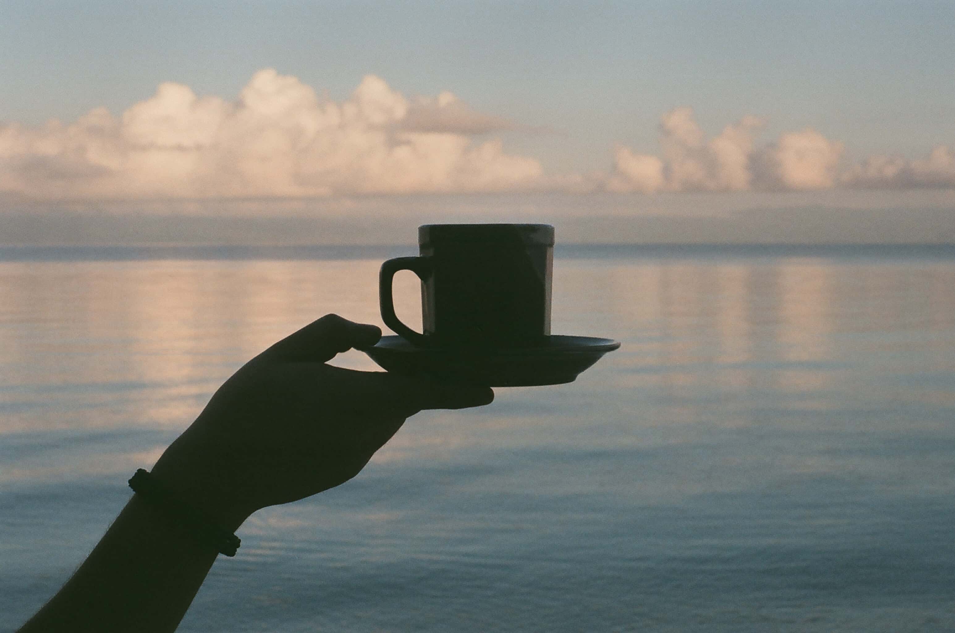 Read more about the article Your Guide to Bringing Home the Best Costa Rican Coffee