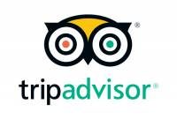 Costa Rica Surf Camp Tripadvisor