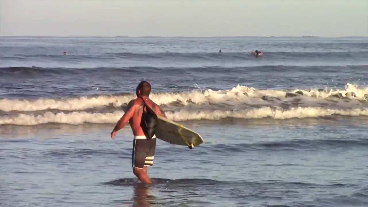 Read more about the article Tamarindo –  November 10, 2018