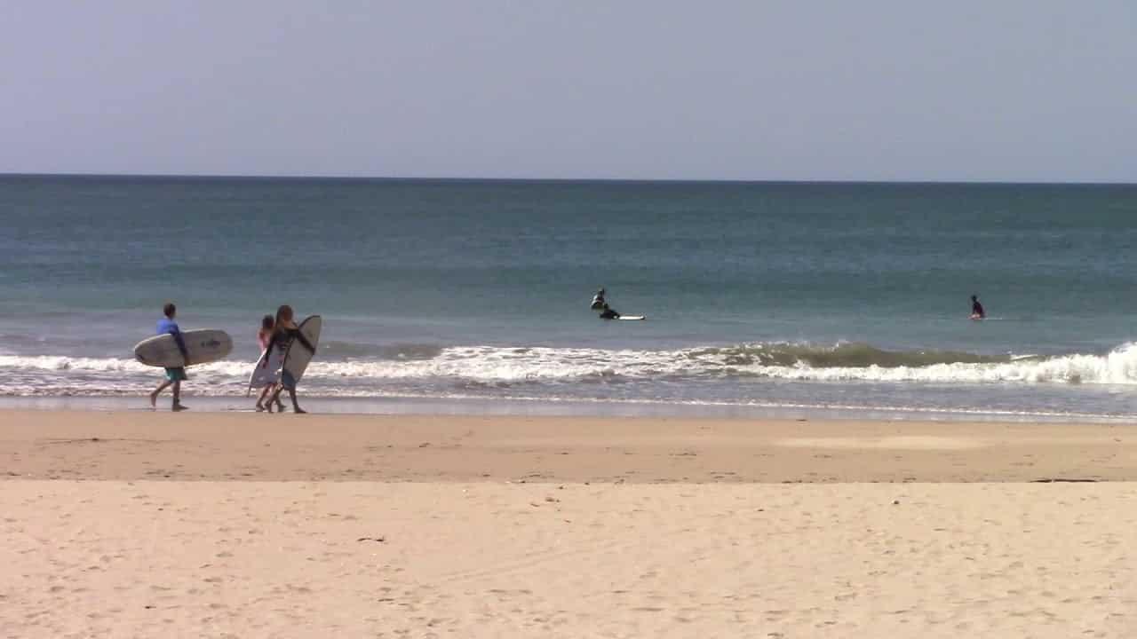 Read more about the article Playa Grande – February 1, 2019