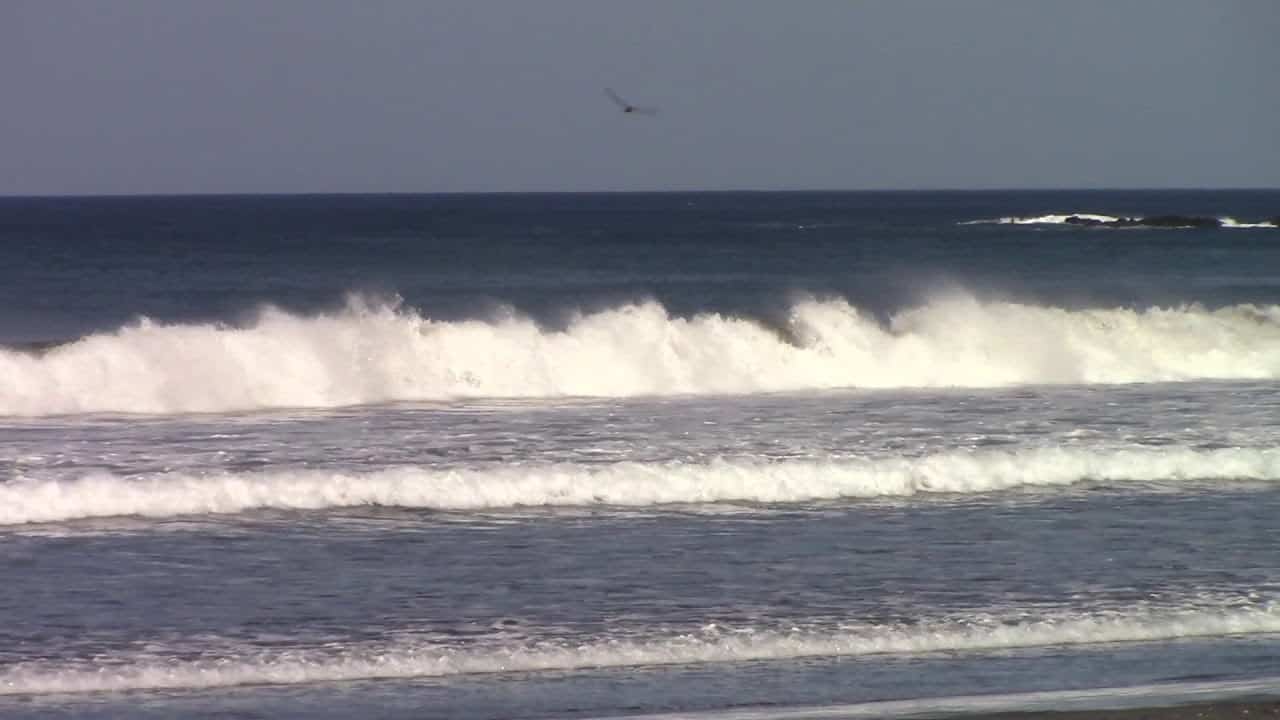 Read more about the article Playa Marbella – Monday, April 29, 2019