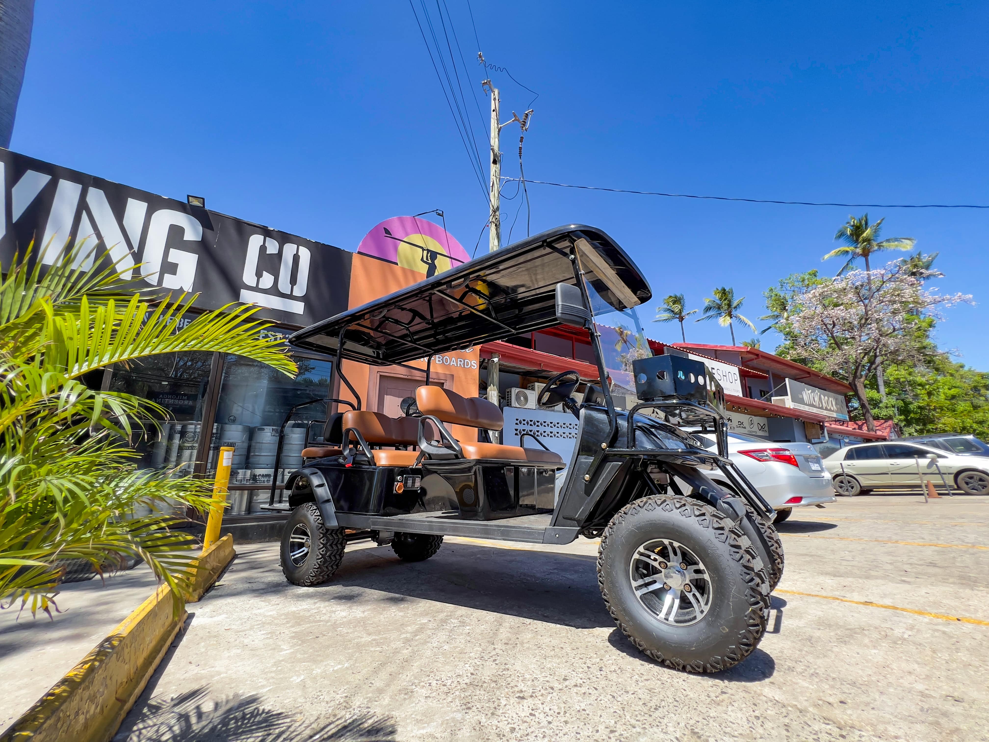 Tamarindo Golf Carts