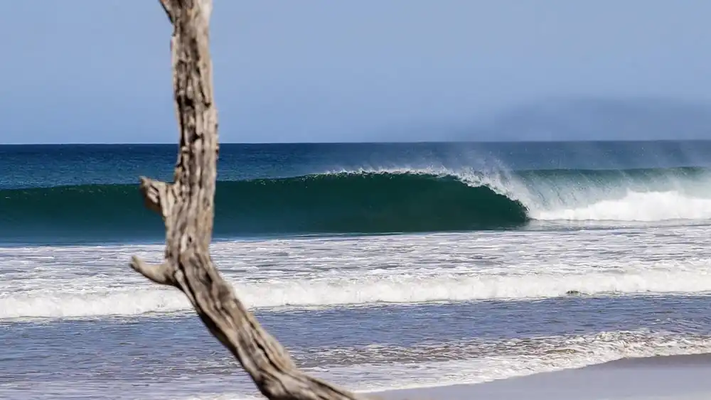 Kids Surf Free Family Months Witchs Rock Tamarindo Costa Rica July August Promo Conditions