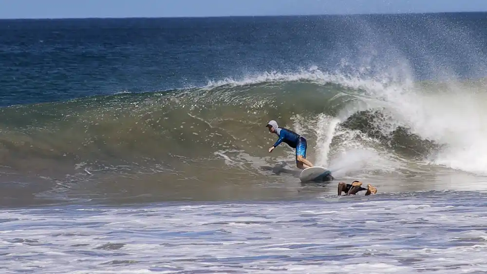 Witchs Rock Surf Camp South Pacific Swell Season Avellanas Costa Rica