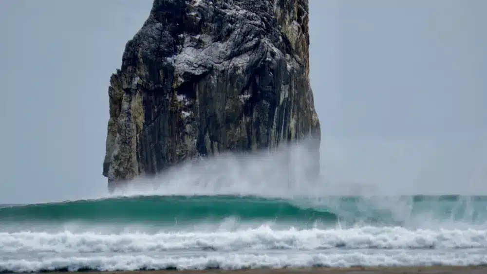 South Swell Season 2025 — Why May to October Is the Best Time to Surf Costa Rica